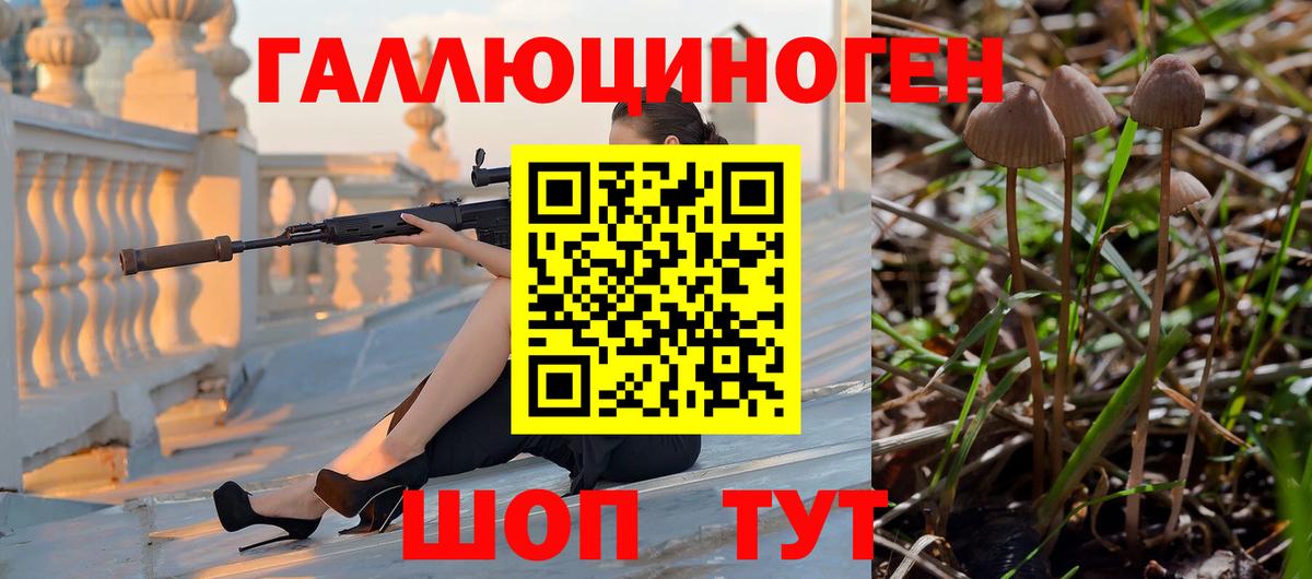 Псилоцибиновые грибы Cubensis  купить закладку  Феодосия  Вход с VPN 